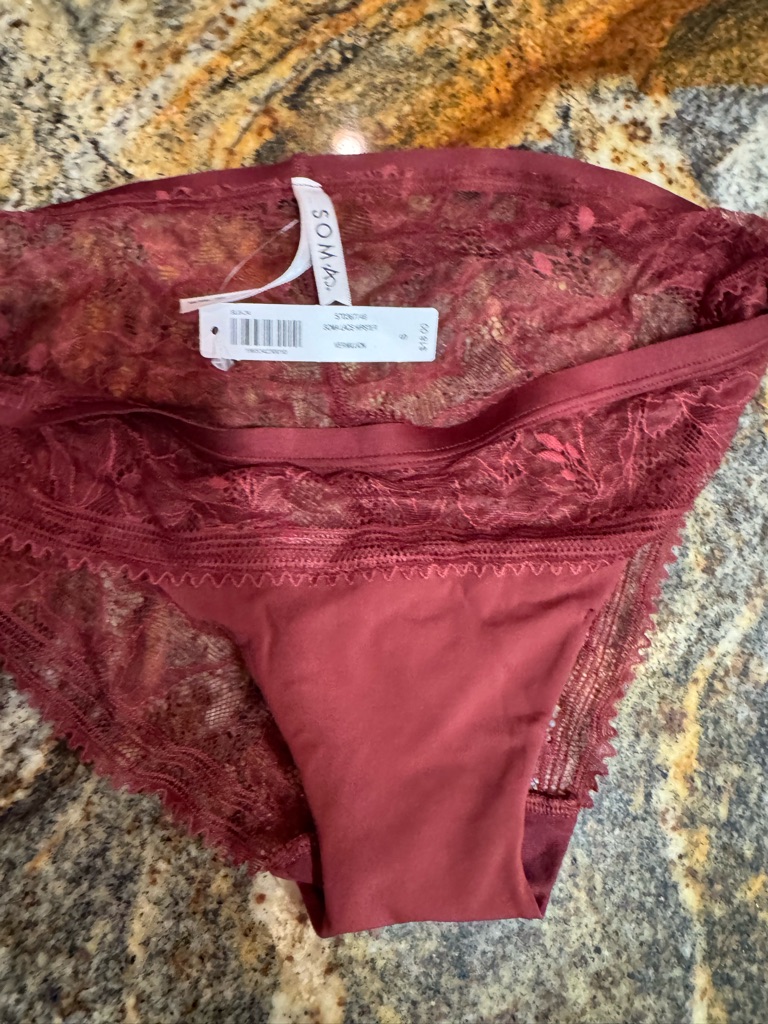 Soma Lace Bikini Panty In Burgundy